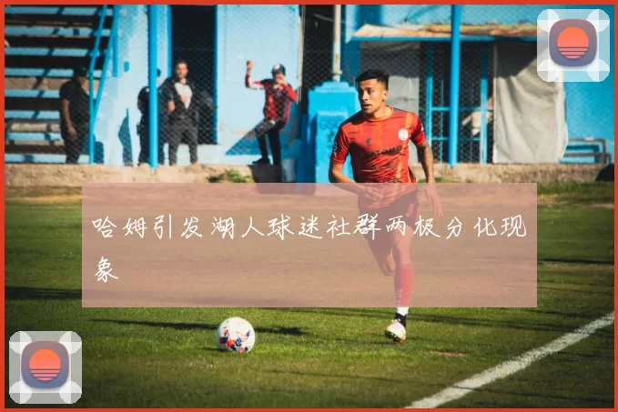 哈姆引发湖人球迷社群两极分化现象