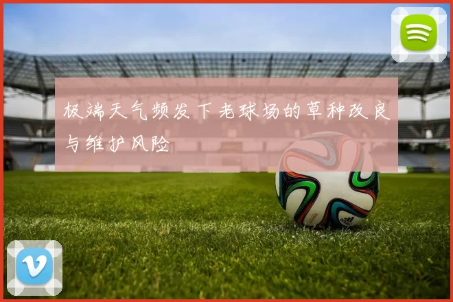极端天气频发下老球场的草种改良与维护风险