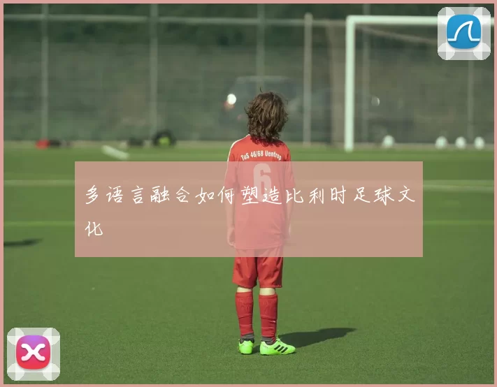 多语言融合如何塑造比利时足球文化