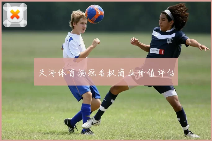 天河体育场冠名权商业价值评估