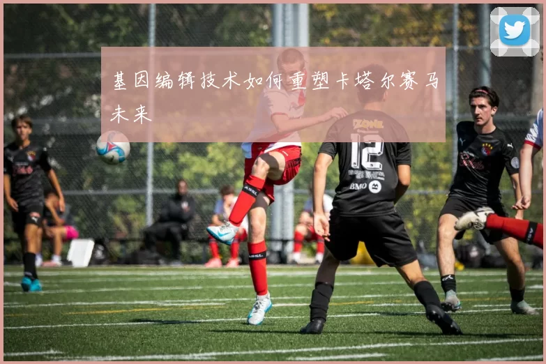 基因编辑技术如何重塑卡塔尔赛马未来
